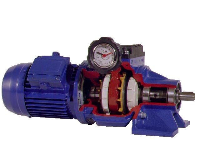 Variateur de vitesse mécanique Ghirri GV
