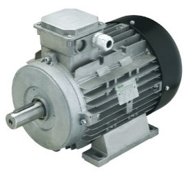 Moteur électrique Ravel RHSE à rendement premium IE3