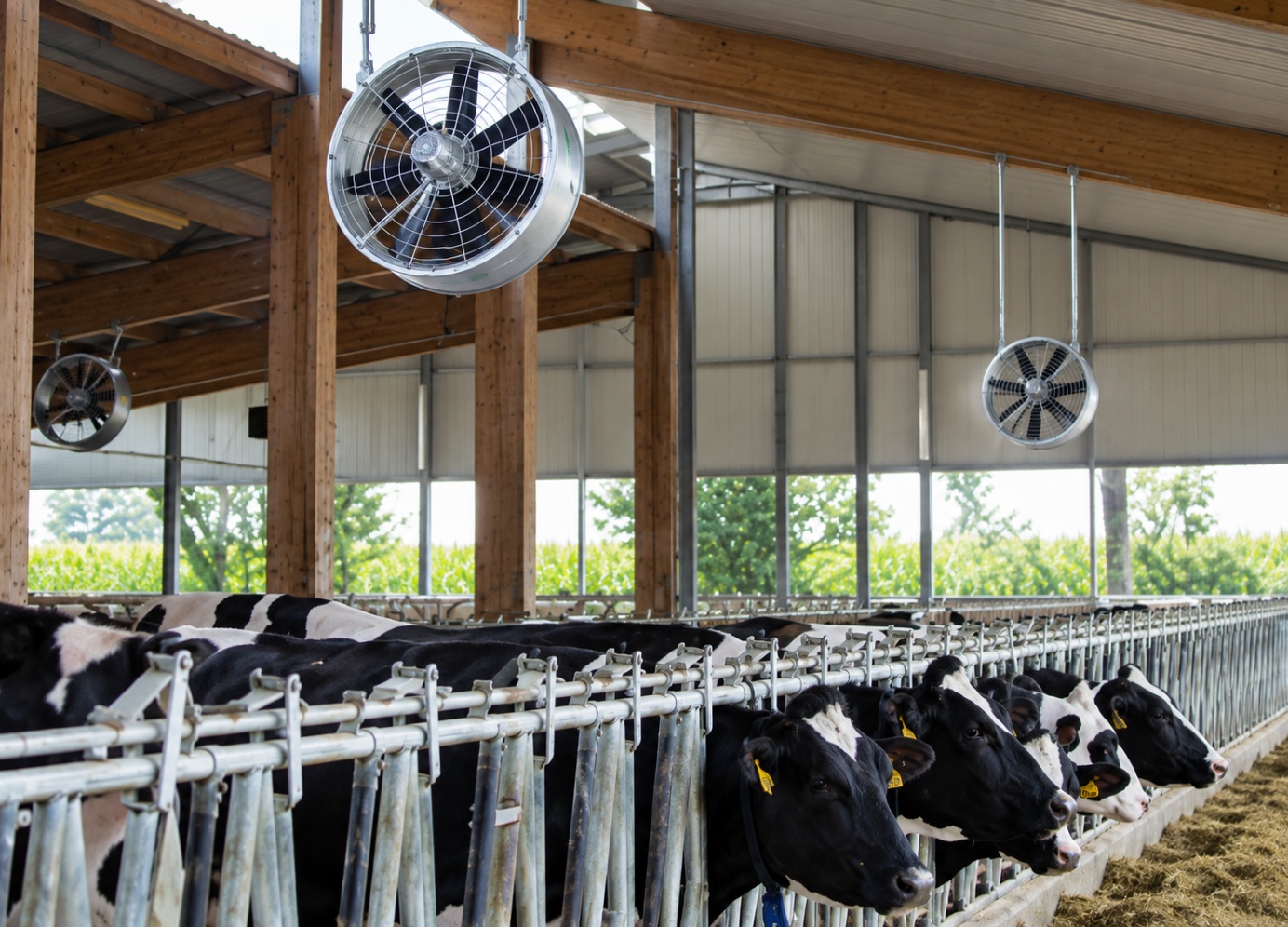 Brumisation et ventilation dans un bâtiment agricole